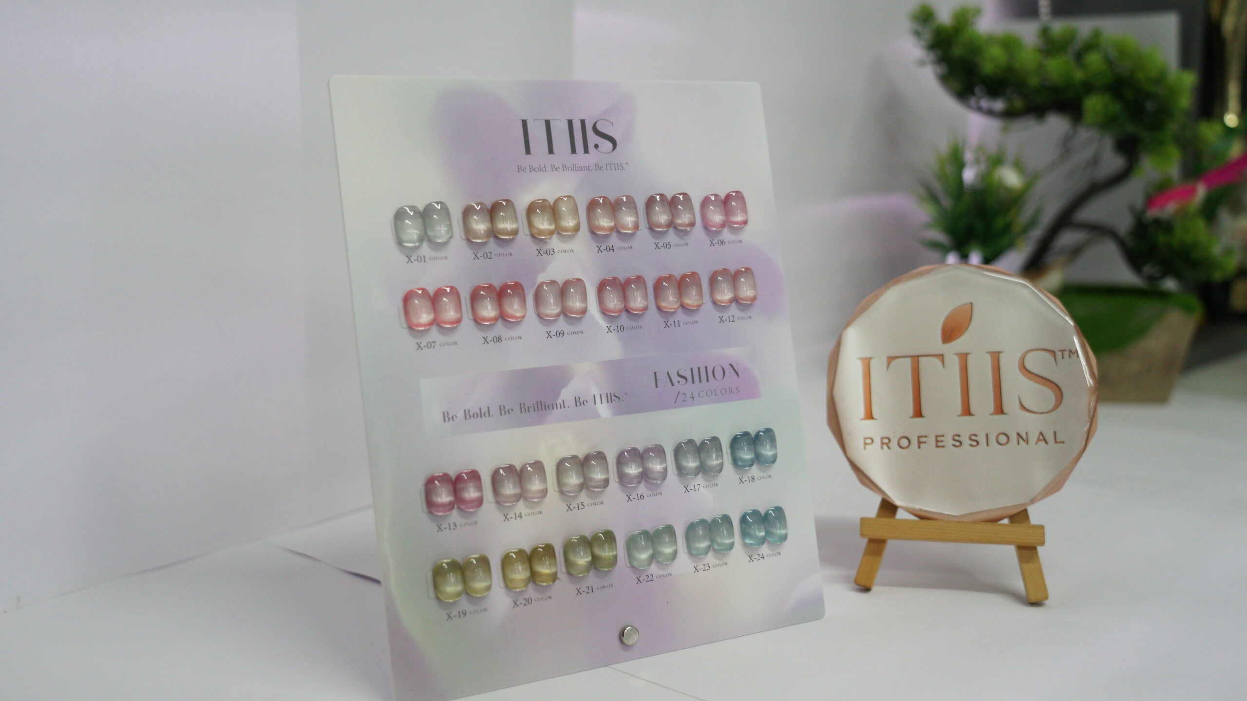 DSC05175 24 pieces Cat eye shade set - Image 1